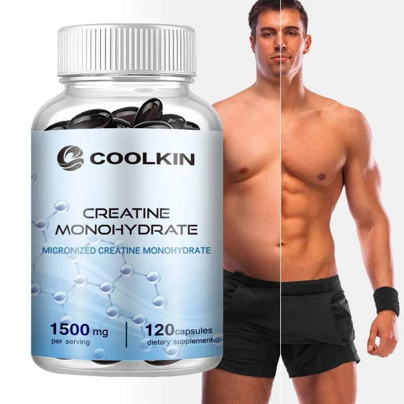 Creatine Monohydrate Powder - Créatine poudre monohydrate créatine post-entraînement récupération